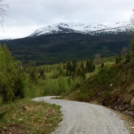 Hébergement de vacances Fyresdalsvegen 640
